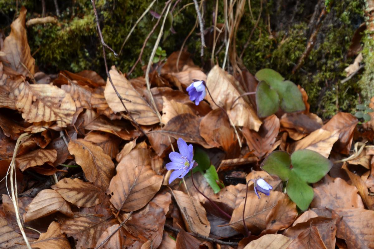 Zunerhof 30.03.2024